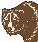 Bear Claims